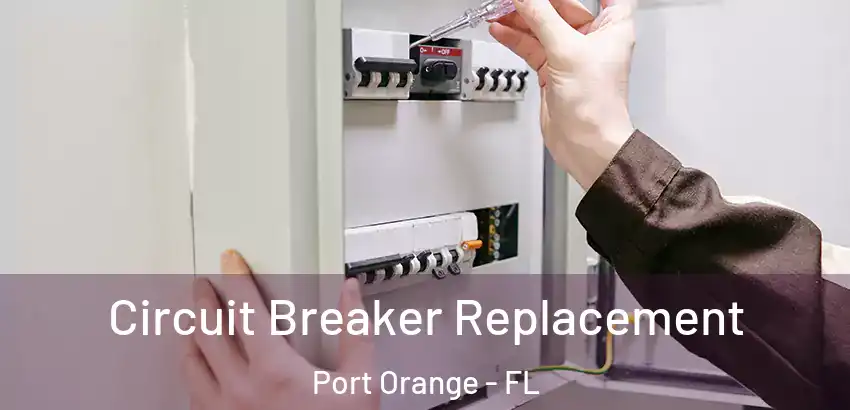  Circuit Breaker Replacement Port Orange - FL