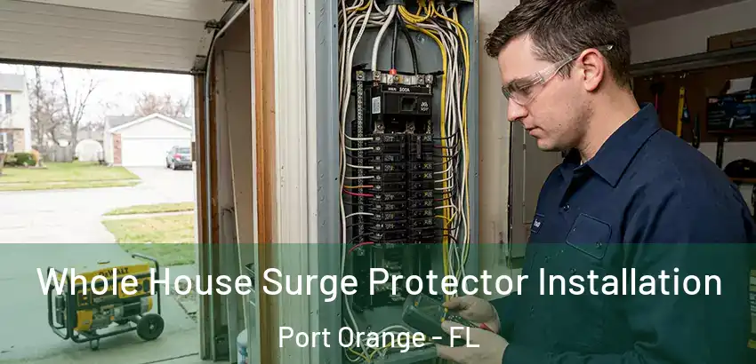  Whole House Surge Protector Installation Port Orange - FL